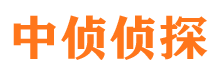 安岳商务调查